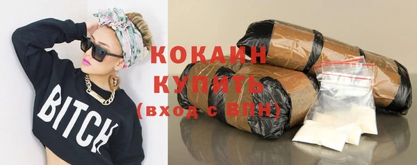 дживик Абинск