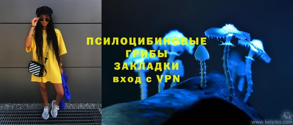 сатива Абаза