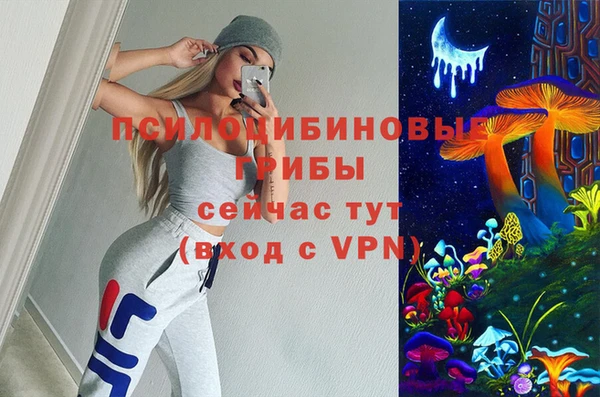 сатива Абаза