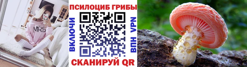 Псилоцибиновые грибы мицелий  hydra как зайти  Северская  где найти  